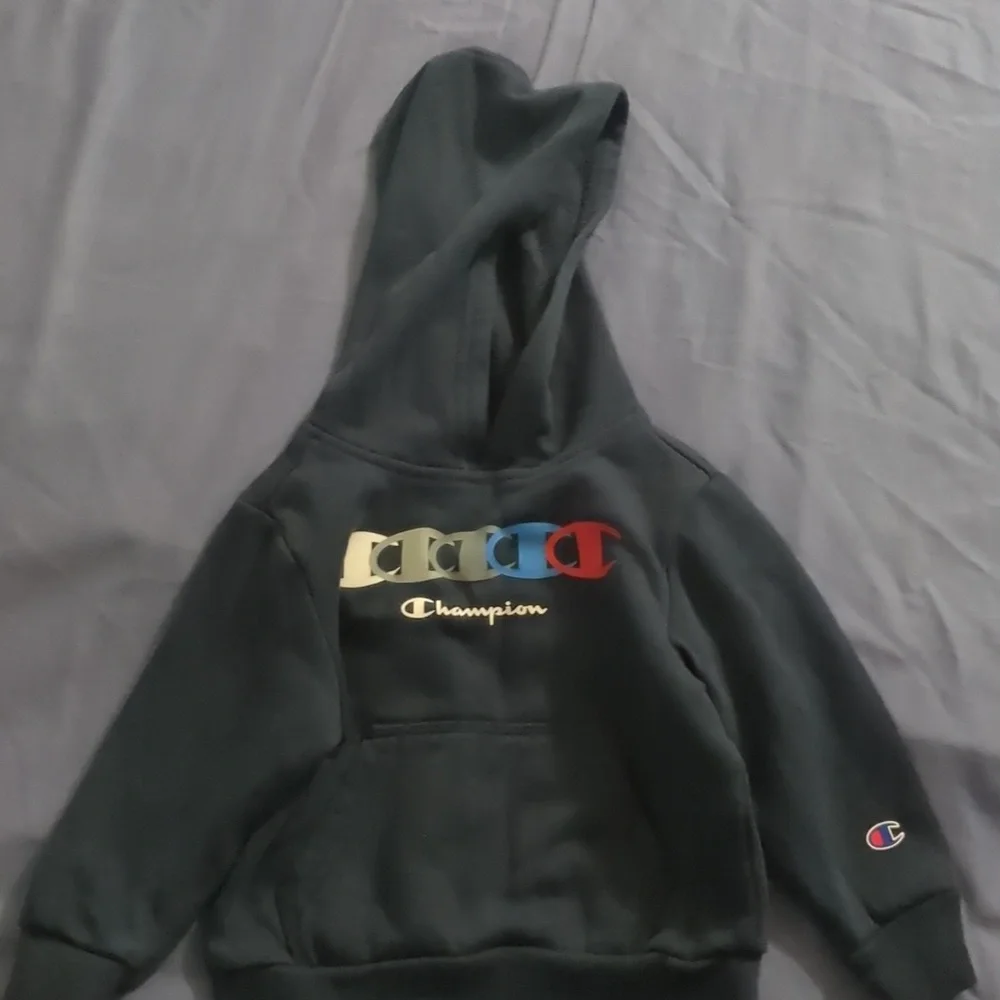 Champion Hoodie - Picture 1 of 5